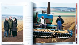 Arrancador de Patatas Segunda Mano: Guía de Compra Segura